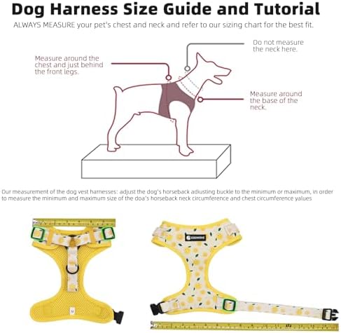 Dog Harness and Leash Set, Adjustable Dog Harness, Dog Leash, No Pull No Choke Puppy Harnesses for Walking Training for Small Medium Pet - Image 5