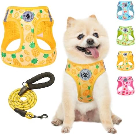 BEAUTYZOO Small Dog Harness and Leash Set,No Pull Puppy Pet Vest- Yellow, S by BEAUTYZOO
