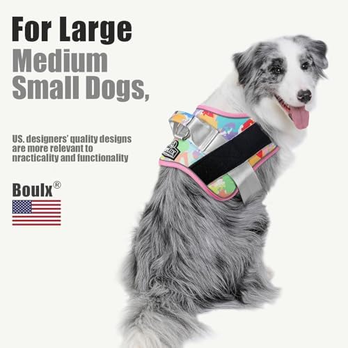 Bolux Dog Harness, No-Pull Reflective Dog Vest, Breathable Adjustable Pet Harness with Handle for Outdoor Walking - No More Pulling, Tugging or Choking (Medium (Pack of 1), OilPainting) - Image 4