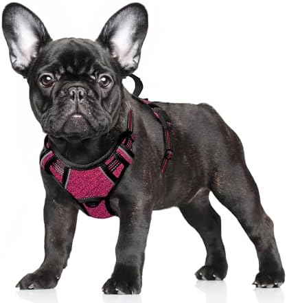 BARKBAY Dog Harness for Small Sized Dog No Pull Dog Vest ID Tag Pocket by BARKBAY