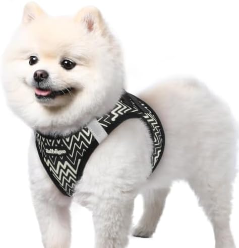 rabbitgoo Step-in Small Dog Harness, Puppy Vest for Small Sized Pet by rabbitgoo