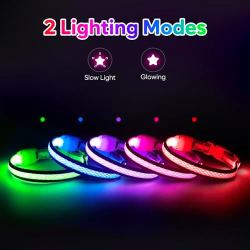 Flashseen LED Dog Collar, Light Up Dog Collar USB Rechargeable (Pink, X-Small) - Image 2