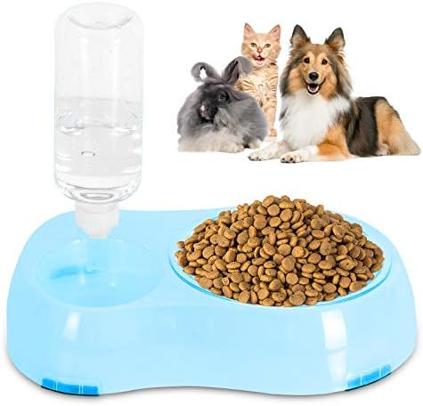 Slow Feeder Bowl, Elevated, Double Transparent for Cats, Small Dogs, Pet Automatic Water Feeder with Water Bottle by AANYPET