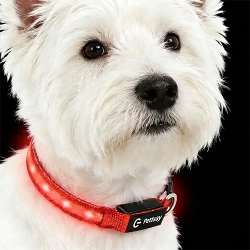 Super Bright LED Dog Collar, Waterproof Light up Collars(Red, X-Small) by PetIsay