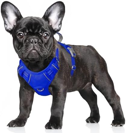 BARKBAY Dog Harness for Small Sized Dog No Pull Dog Vest ID Tag Pocket by BARKBAY