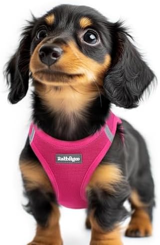 rabbitgoo Step-in Small Dog Harness, Puppy Vest for Small Sized Pet by rabbitgoo