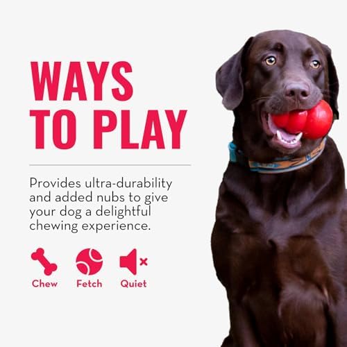 KONG Ring - Natural Rubber Ring Toy for Healthy Chewing Habits - Chew Toy Supports Dog Dental Health - Dog Toy Supports Instincts During Playtime - for Medium/Large Dogs (Pack of 4) - Image 4
