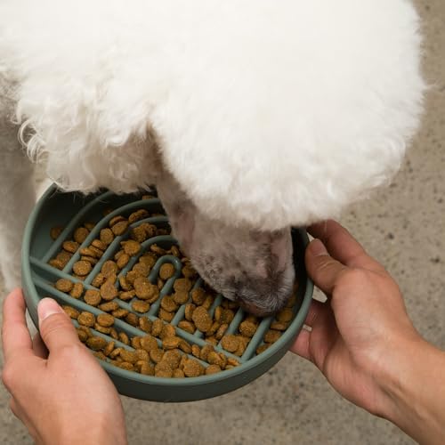 Slow Feeder Dog Bowl - Silicone Dog Bowl, Medium, 7.5" x 1.5" - Spruce - Image 2