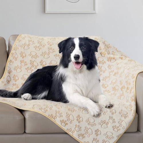 Stuffed Premium Soft Dog Blanket, with Flannel Beige Cute Paw Print, 32 * 40 inches, Cat Blanket Puppy Supplies Border Collie Puppy Gifts Essentials by STUFFED