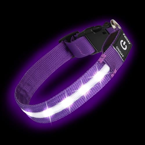 Super Bright LED Dog Collar, Waterproof Light up Collars(Purple, Medium) by PetIsay