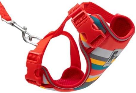 RC Pets Adventure Kitty Cat Harness | Adjustable Airmesh Vest with D-Ring and 6ft Leash for Walking and Travel | Multi Stripes, Large by RCPets