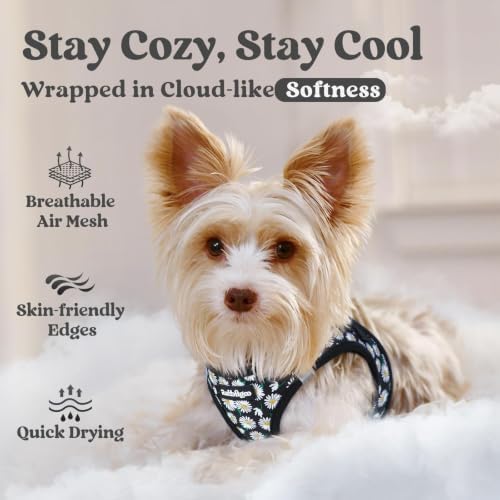 rabbitgoo Step-in Small Dog Harness, Puppy Vest for Small Sized Pet - Image 3