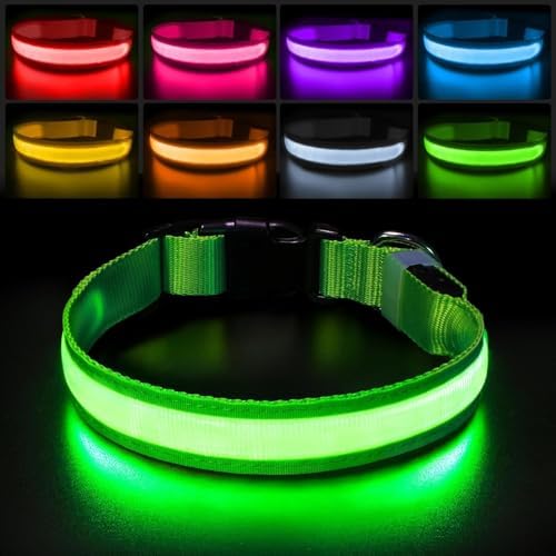 PcEoTllar Light up Dog Collar, Safe for Night Walking, Adjustable, Green, S by PcEoTllarPetSupplies