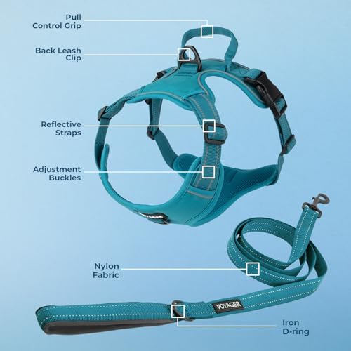 Voyager Dog Harness Dual Leash Attachment No-Pull Control Adjustable Soft but Strong Pet Harness for Medium and Large Dogs with 3M Reflective Technology, Leash Set Turquoise Nylon, XL (Chest: 28-37") - Image 3