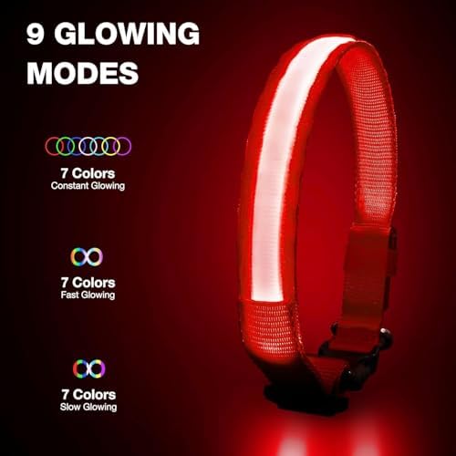 PcEoTllar Light up Dog Collar, Safe for Night Walking, Adjustable, Red, L - Image 2