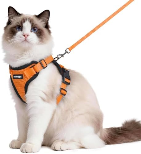 rabbitgoo Cat Harness and Leash Set, Escape Proof Vest, Orange by rabbitgoo