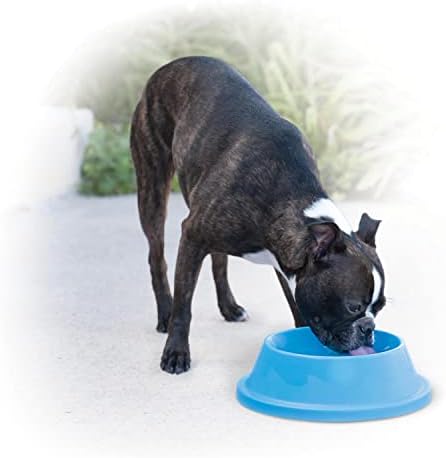 K&H Pet Products Coolin' Pet Bowl Sky Blue 32 Ounces by KHPetProducts