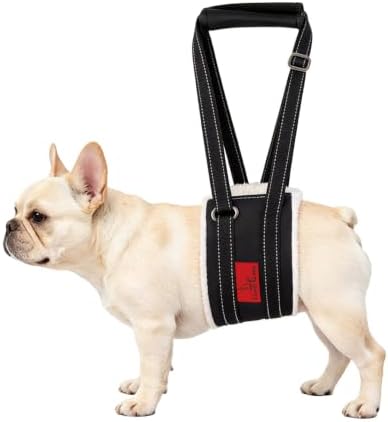 Dog Lift Harness - Cover Geny Adjustable Sling for Rear Legs with Soft Support for Senior, Injured, Disabled Dogs After ACL Surgery - Helping Pets with Canine Aid and Rehab Support (XS) by CoverGeny