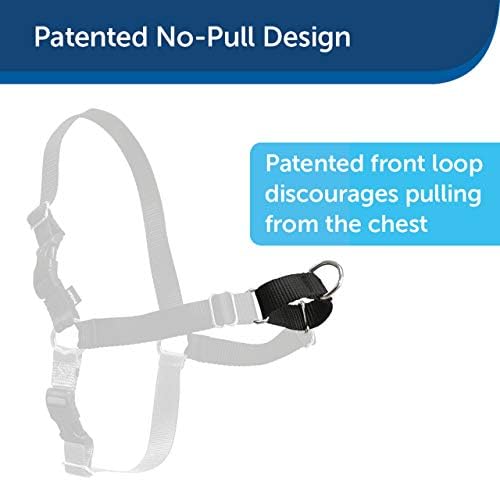 PetSafe Easy Walk No-Pull Dog Harness - Ultimate Harness to Help Stop Pulling - Pull-Free Walks - Take Control & Teach Better Leash Manners - Patented Martingale Loop Design - Raspberry, X-Large - Image 2