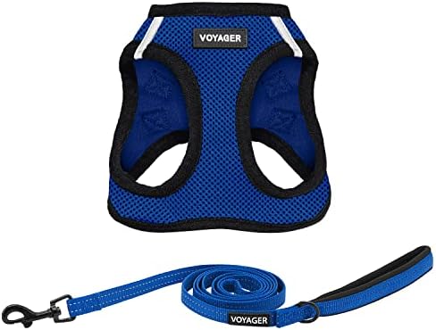 Best Pet Supplies Voyager Step-in Air All Weather Mesh Harness and Reflective Dog 5ft Leash Combo with Neoprene Handle, for Small, Medium and Large Breed Puppies - Royal Blue/Black Trim, X-Large by BestPetSuppliesLLC