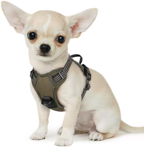 Eagloo Dog Harness for Small Dogs, No Pull Pet Vest with 2 Leash Clips by GoExplorewithEagloo