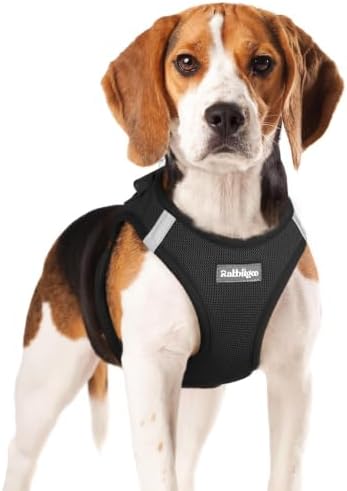 rabbitgoo Step-in Small Dog Harness, Puppy Vest for Small Medium Sized Pet by rabbitgoo