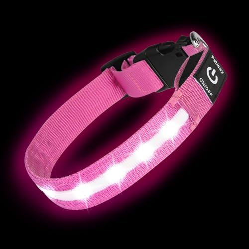 Super Bright LED Dog Collar, Waterproof Light up Collars(Pink, Large) by PetIsay