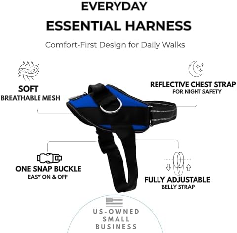 ShawnCo Essential Dog Harness, No-Pull Pet Vest (Electric Blue,XL) - Image 2