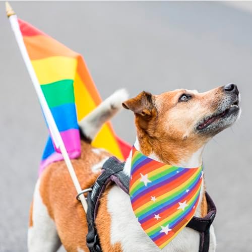 PTDECOR Rainbow Dog Bandanas Pride Day Love is Love Pet Scarf, Small - Image 2