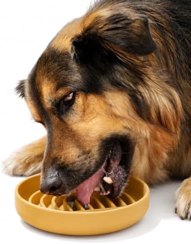 Slow Feeder Dog Bowl - Silicone Dog Bowl, Medium, 7.5" x 1.5" - Honey by ShouldWeGo