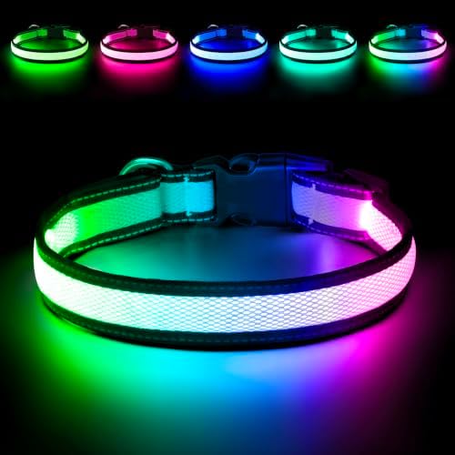 Flashseen LED Dog Collar, Light Up Dog Collar USB Rechargeable (White, Medium) by Flashseen