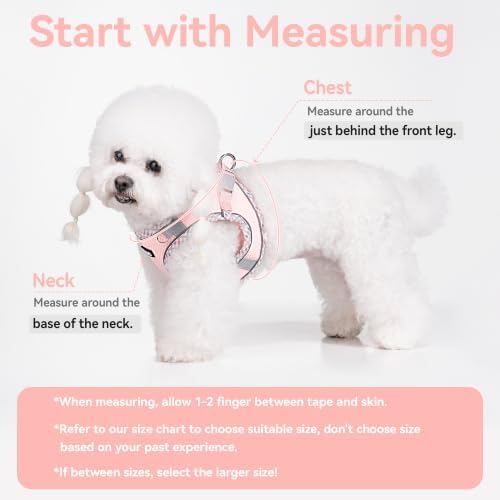Petank Dog Harness for Small Medium Dogs No Pull, Puppy Harness and Leash Set, Step in Dog Harness for Walking, Running, Training, Small Dog Vest, Medium Dog Vest (Pink, M) - Image 3