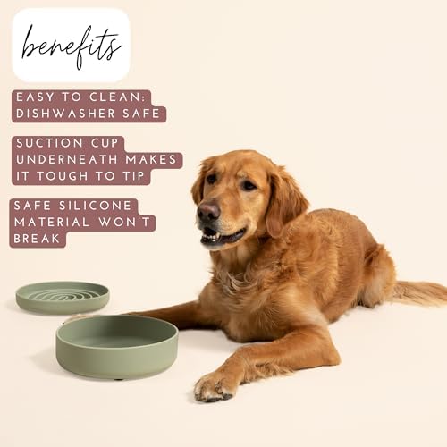 The Perfect Dish - Silicone Dog Bowl for Food & Water, 9.5" x 2.5"- Sage - Image 2