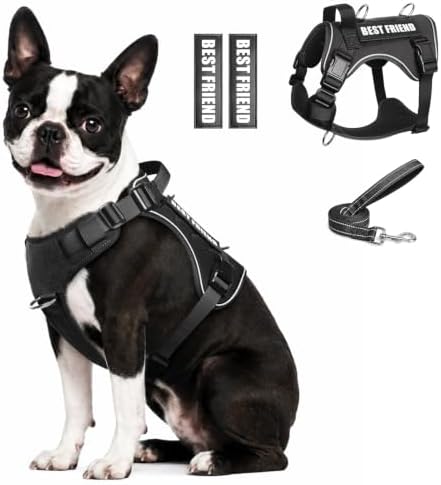 WINSEE No Pull Tactical Dog Harness and Leash Set with 2 Patches by WINSEE