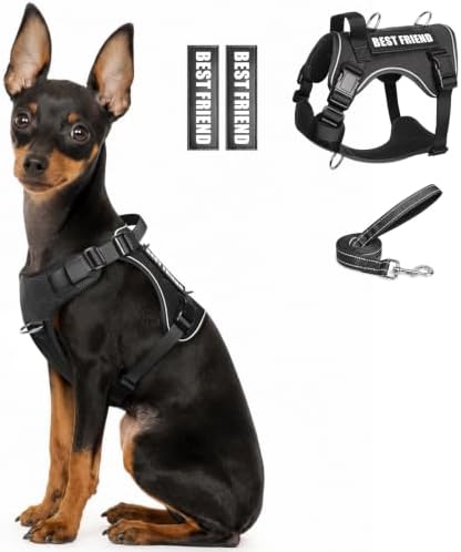 WINSEE No Pull Tactical Dog Harness with Leash Set with 2 Patches by WINSEE