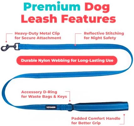 Best Pet Supplies Voyager Nylon Dog Leash - Royal Blue, Small - Image 3