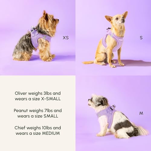 Downtown Pet Supply Step in Dog Harness for Large Dogs - Adjustable, Escape Proof Dog Harness with Reflective Trim - All-Weather, Fast-Drying Padded Mesh Fabric - Lilac, L - Image 6