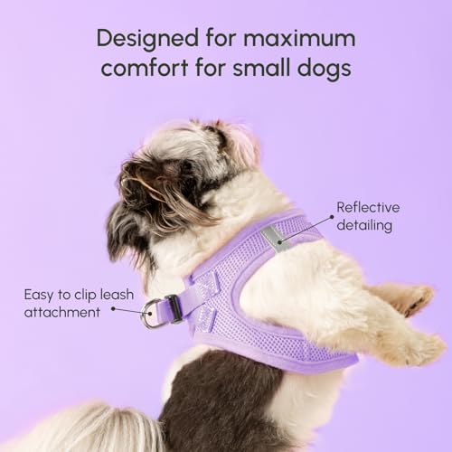 Downtown Pet Supply Step in Dog Harness for Large Dogs - Adjustable, Escape Proof Dog Harness with Reflective Trim - All-Weather, Fast-Drying Padded Mesh Fabric - Lilac, XL - Image 4