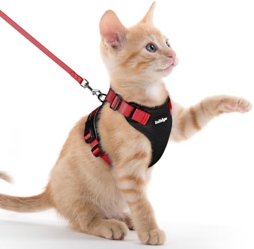 rabbitgoo Cat Harness and Leash Set, Escape Proof Vest, Black & Red by rabbitgoo