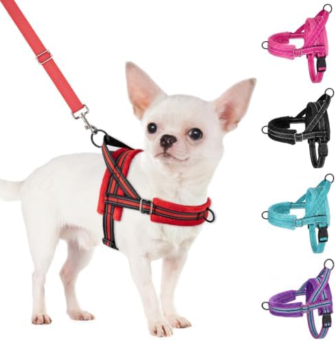 SlowTon No Pull Small Dog Harness and Leash Set with Front Clip by SlowTon
