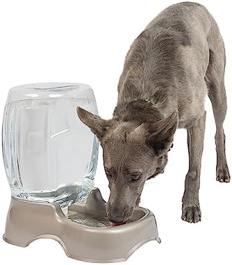 Petmate Pet Cafe Cat and Dog Water Dispenser, 3 GAL, Pearl Tan - Image 2