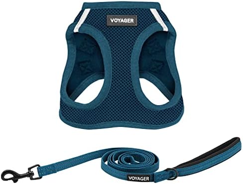 Best Pet Supplies Voyager Step-in Air All Weather Mesh Harness and Reflective Dog 5ft Leash Combo with Neoprene Handle, for Small, Medium and Large Breed Puppies - Blue, X-Lrage by BestPetSuppliesLLC