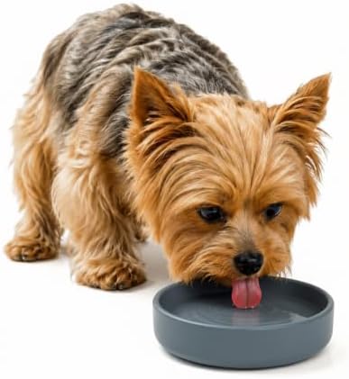 The Perfect Dish - Silicone Dog Bowl for Food & Water, 6" x 1.25"-Charcoal by ShouldWeGo