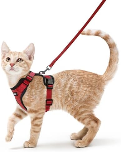 rabbitgoo Cat Harness and Leash Set, Escape Proof Vest, Red by rabbitgoo