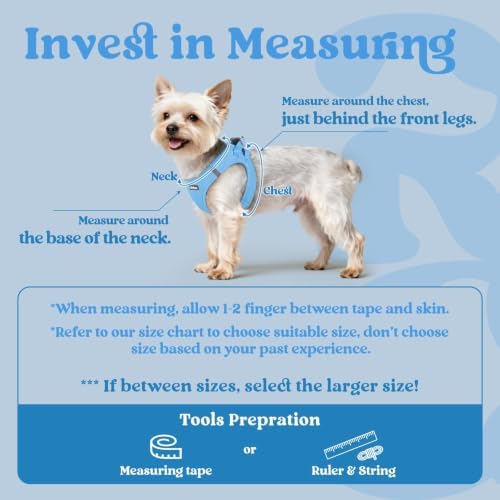 rabbitgoo Step-in Small Dog Harness, Puppy Vest for Small Sized Pet - Image 2