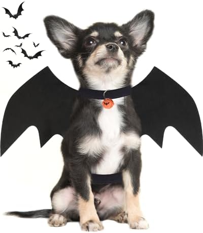 Dog Halloween Costumes for Small Dogs, Dog Bat Wings with Pumpkin Bell Pet Halloween Cosplay Party Dress Up (Small) by OLANRUN