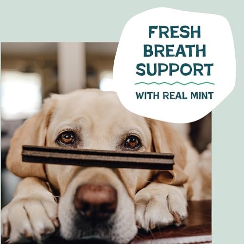 Shameless Pets Dog Dental Chews, Variety 3-Pack, Grain-Free, Fresh Breath - Image 4