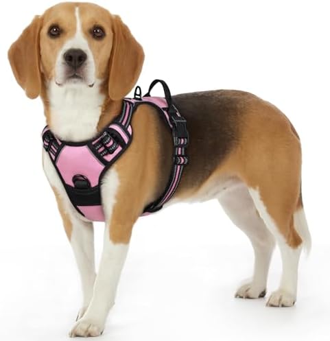 Eagloo Dog Harness for Small Dogs, No Pull Pet Vest with 2 Leash Clips by GoExplorewithEagloo
