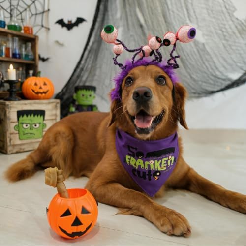 Halloween Dog Bandanas with So Franken Cute Sign, 5-30lbs Pet - Image 2