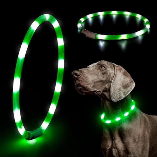 LED Dog Collar - HIGO Light Up Dog Collars Glow in the Dark, USB Rechargeable LED Dog Necklace Light for Your Dogs Walking at Night (Green-Silicone) by Higo